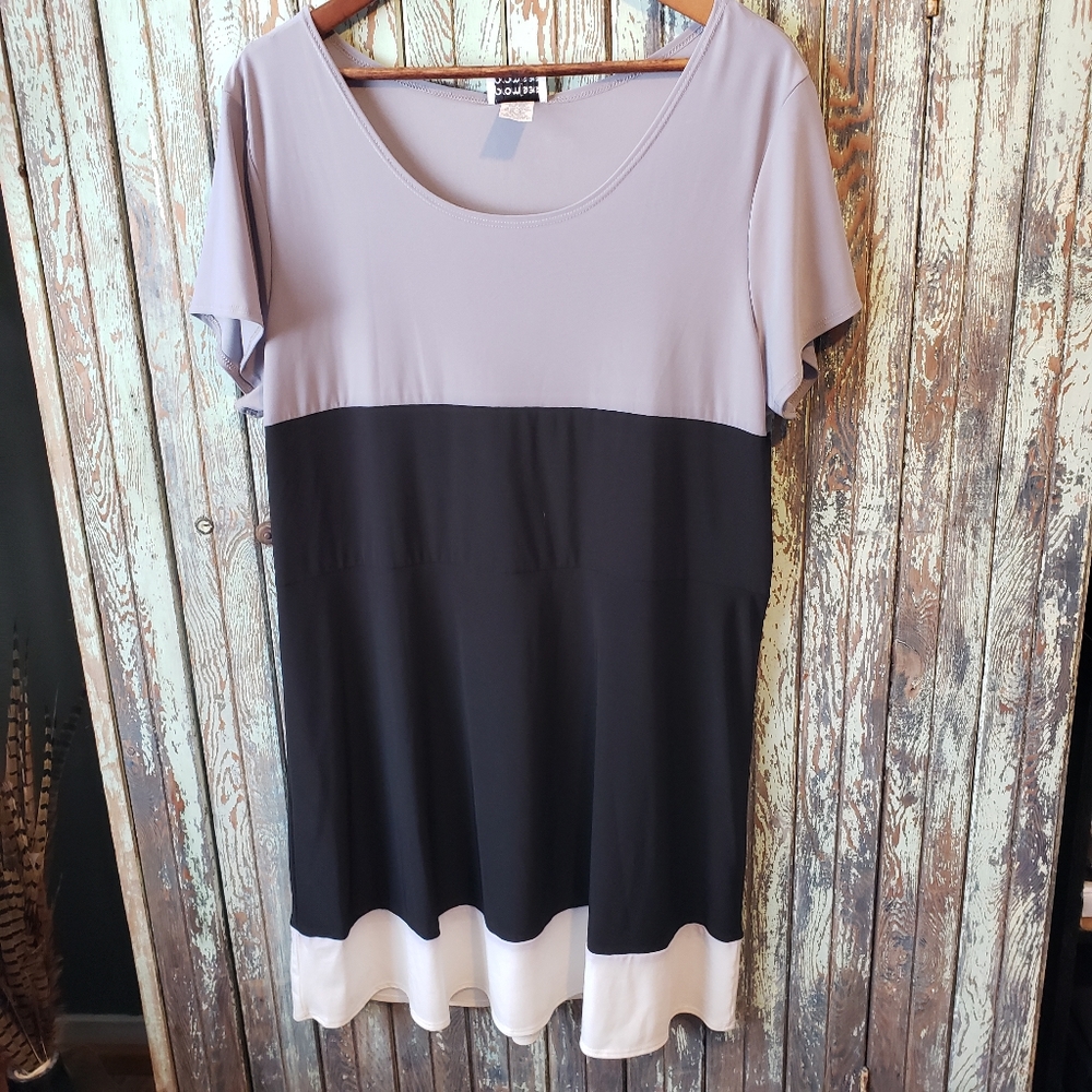 Promises Promises Dress Size 2X